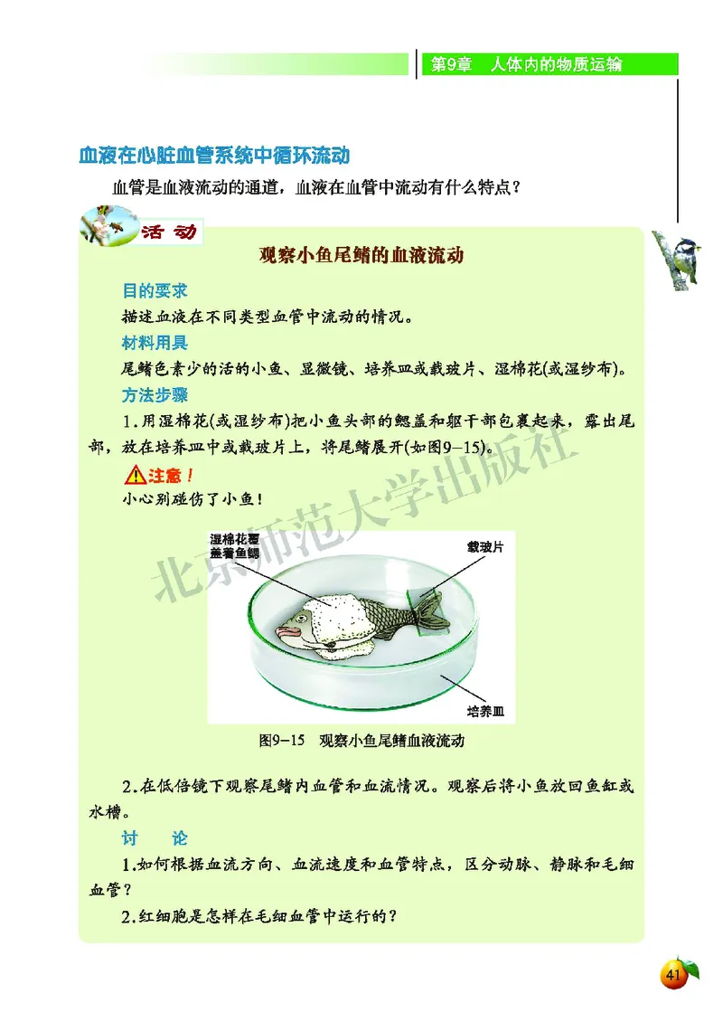 北师大7年级生物下册高清教材_4-教培资料-26年最新资料-同步更新_初中高中教资_03科三专项（进去保存报考的学科即可）_02科三专项（笔记真题思维导图教学设计版本二）