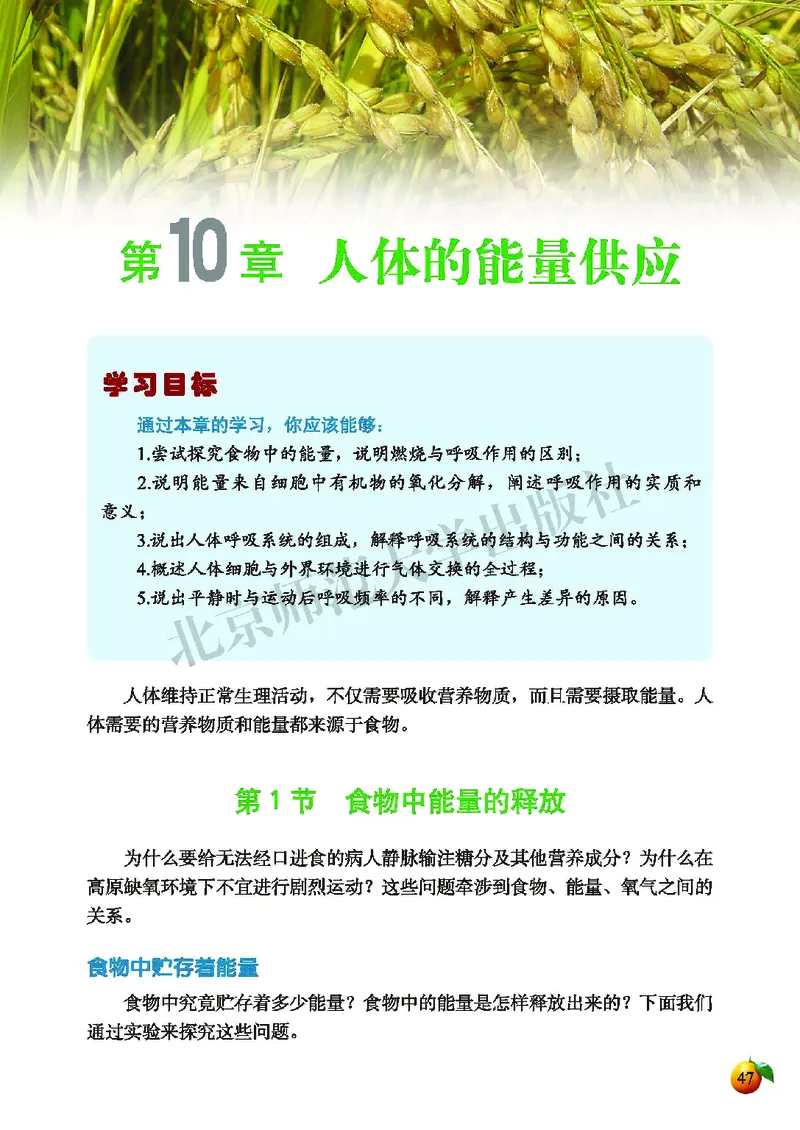 北师大7年级生物下册高清教材_4-教培资料-26年最新资料-同步更新_初中高中教资_03科三专项（进去保存报考的学科即可）_02科三专项（笔记真题思维导图教学设计版本二）
