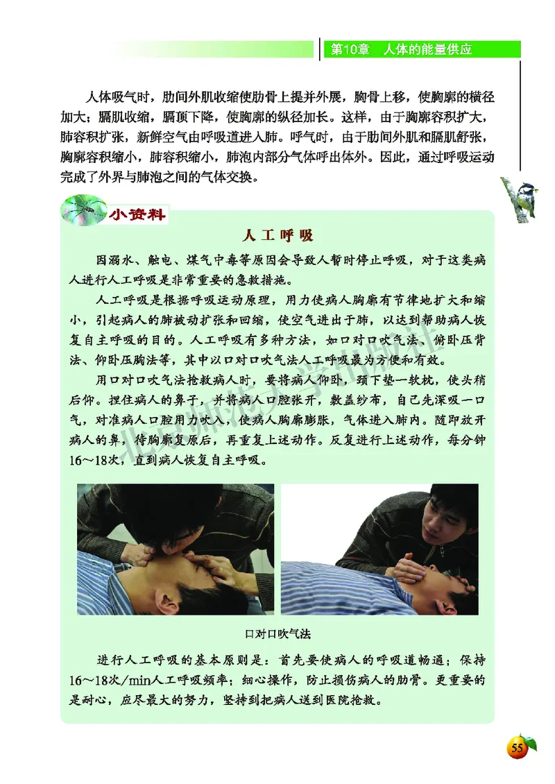 北师大7年级生物下册高清教材_4-教培资料-26年最新资料-同步更新_初中高中教资_03科三专项（进去保存报考的学科即可）_02科三专项（笔记真题思维导图教学设计版本二）