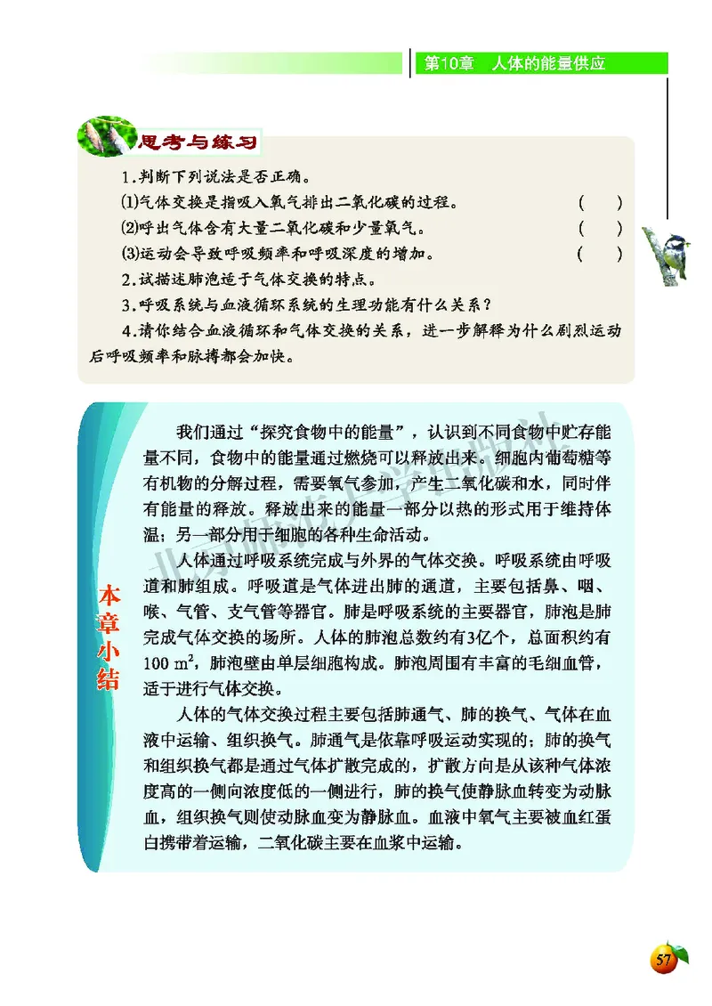 北师大7年级生物下册高清教材_4-教培资料-26年最新资料-同步更新_初中高中教资_03科三专项（进去保存报考的学科即可）_02科三专项（笔记真题思维导图教学设计版本二）
