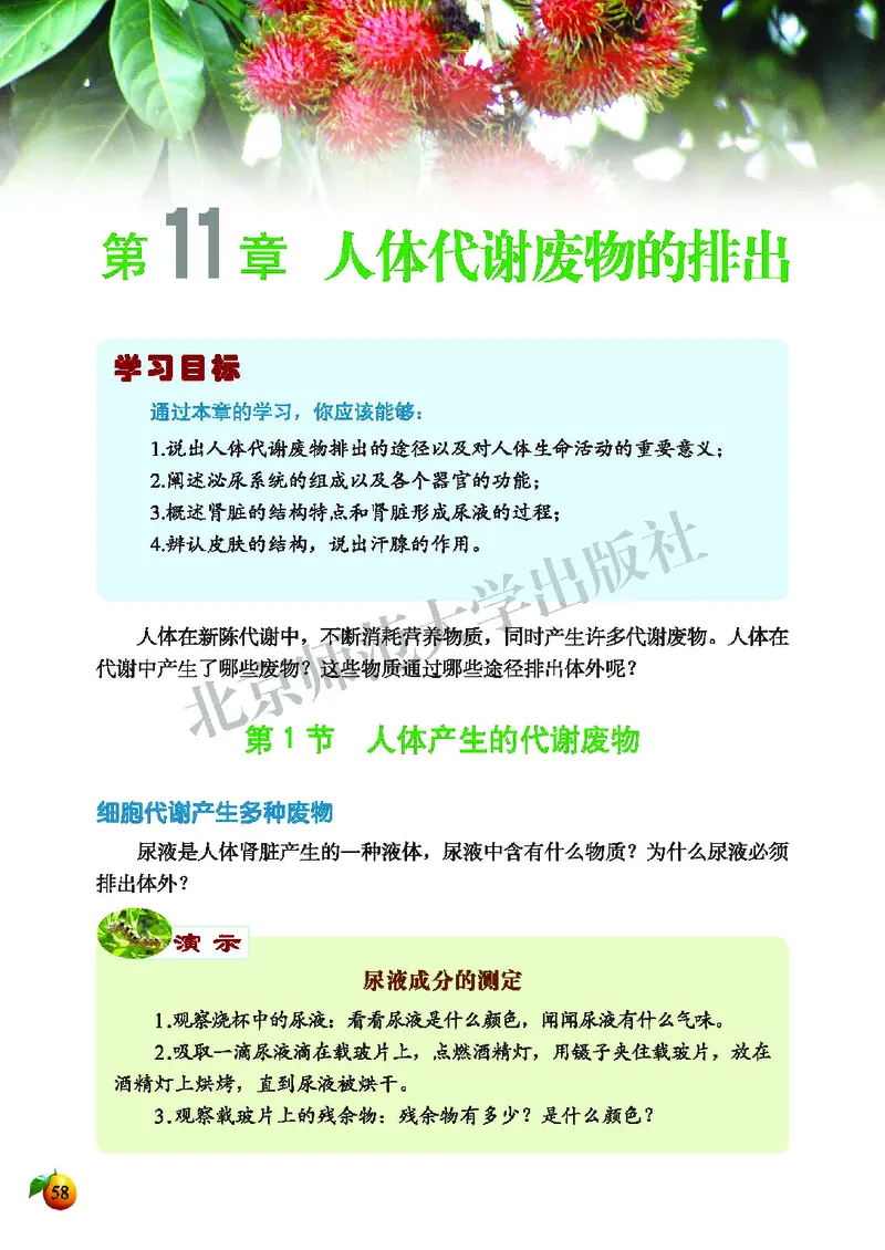 北师大7年级生物下册高清教材_4-教培资料-26年最新资料-同步更新_初中高中教资_03科三专项（进去保存报考的学科即可）_02科三专项（笔记真题思维导图教学设计版本二）