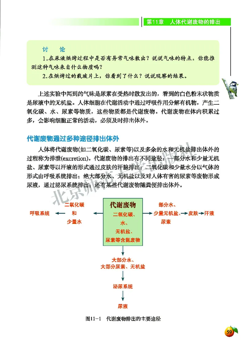 北师大7年级生物下册高清教材_4-教培资料-26年最新资料-同步更新_初中高中教资_03科三专项（进去保存报考的学科即可）_02科三专项（笔记真题思维导图教学设计版本二）