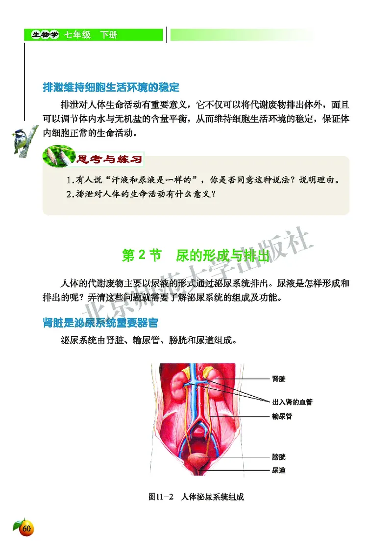 北师大7年级生物下册高清教材_4-教培资料-26年最新资料-同步更新_初中高中教资_03科三专项（进去保存报考的学科即可）_02科三专项（笔记真题思维导图教学设计版本二）