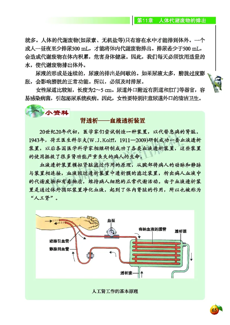 北师大7年级生物下册高清教材_4-教培资料-26年最新资料-同步更新_初中高中教资_03科三专项（进去保存报考的学科即可）_02科三专项（笔记真题思维导图教学设计版本二）