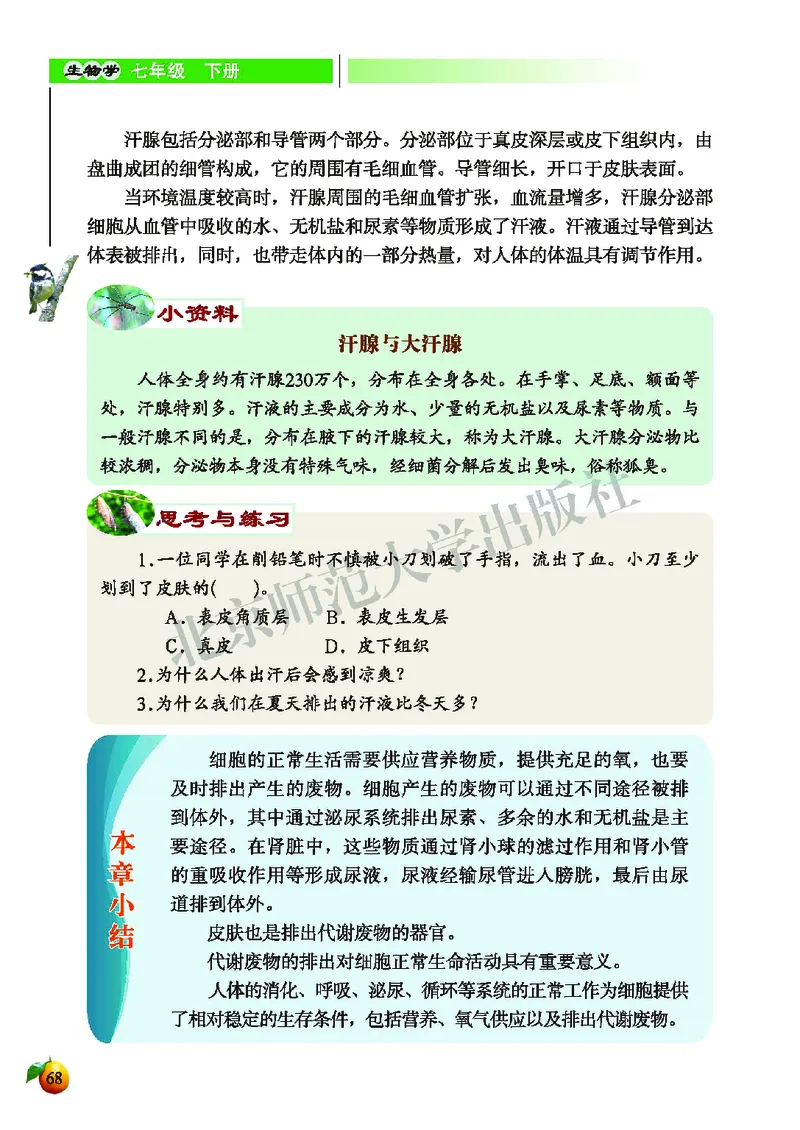 北师大7年级生物下册高清教材_4-教培资料-26年最新资料-同步更新_初中高中教资_03科三专项（进去保存报考的学科即可）_02科三专项（笔记真题思维导图教学设计版本二）