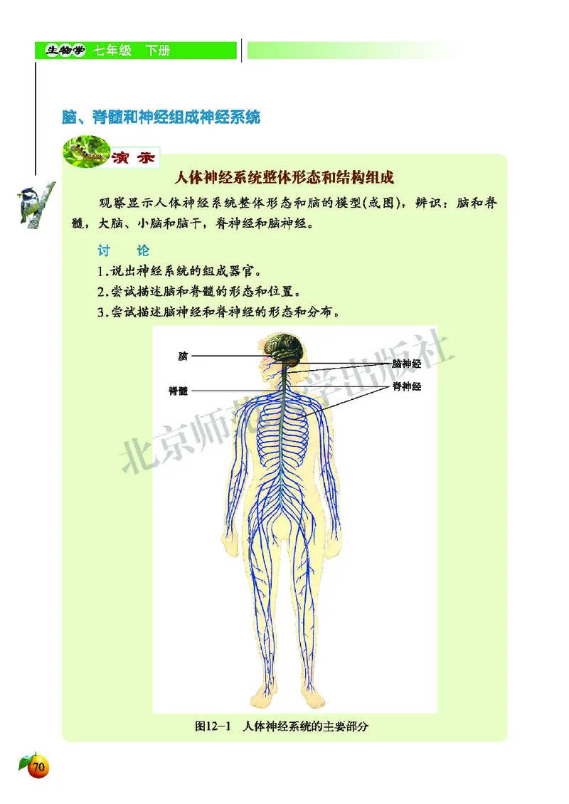 北师大7年级生物下册高清教材_4-教培资料-26年最新资料-同步更新_初中高中教资_03科三专项（进去保存报考的学科即可）_02科三专项（笔记真题思维导图教学设计版本二）