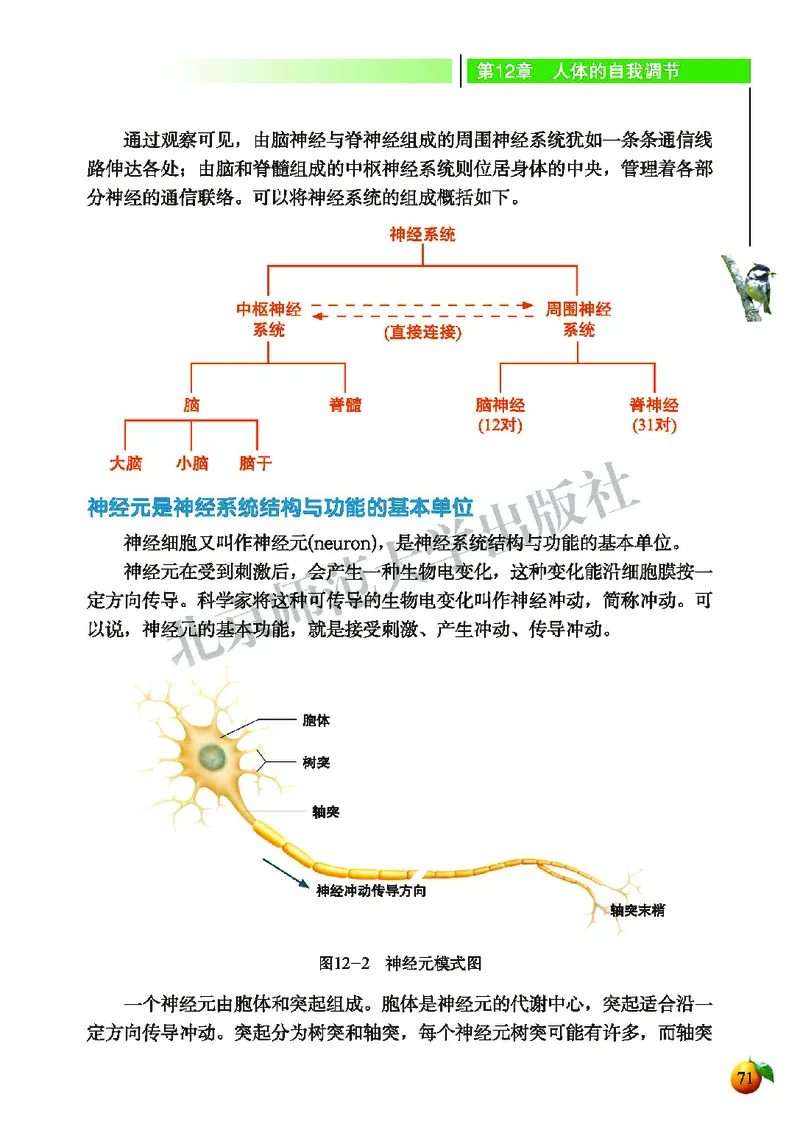 北师大7年级生物下册高清教材_4-教培资料-26年最新资料-同步更新_初中高中教资_03科三专项（进去保存报考的学科即可）_02科三专项（笔记真题思维导图教学设计版本二）