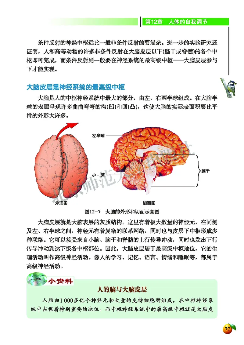 北师大7年级生物下册高清教材_4-教培资料-26年最新资料-同步更新_初中高中教资_03科三专项（进去保存报考的学科即可）_02科三专项（笔记真题思维导图教学设计版本二）
