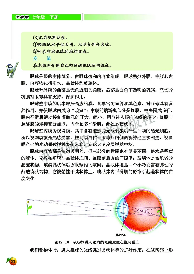 北师大7年级生物下册高清教材_4-教培资料-26年最新资料-同步更新_初中高中教资_03科三专项（进去保存报考的学科即可）_02科三专项（笔记真题思维导图教学设计版本二）