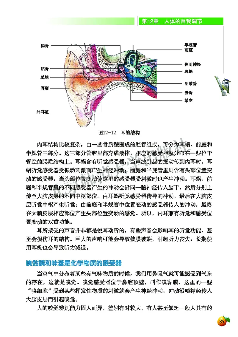 北师大7年级生物下册高清教材_4-教培资料-26年最新资料-同步更新_初中高中教资_03科三专项（进去保存报考的学科即可）_02科三专项（笔记真题思维导图教学设计版本二）