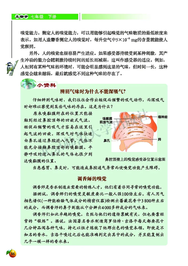 北师大7年级生物下册高清教材_4-教培资料-26年最新资料-同步更新_初中高中教资_03科三专项（进去保存报考的学科即可）_02科三专项（笔记真题思维导图教学设计版本二）
