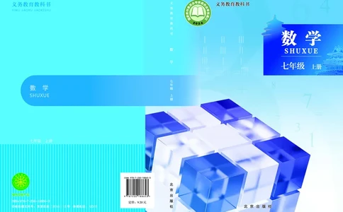 北京版7年级数学上册高清教材_4-教培资料-26年最新资料-同步更新_初中高中教资_03科三专项（进去保存报考的学科即可）_02科三专项（笔记真题思维导图教学设计版本二）