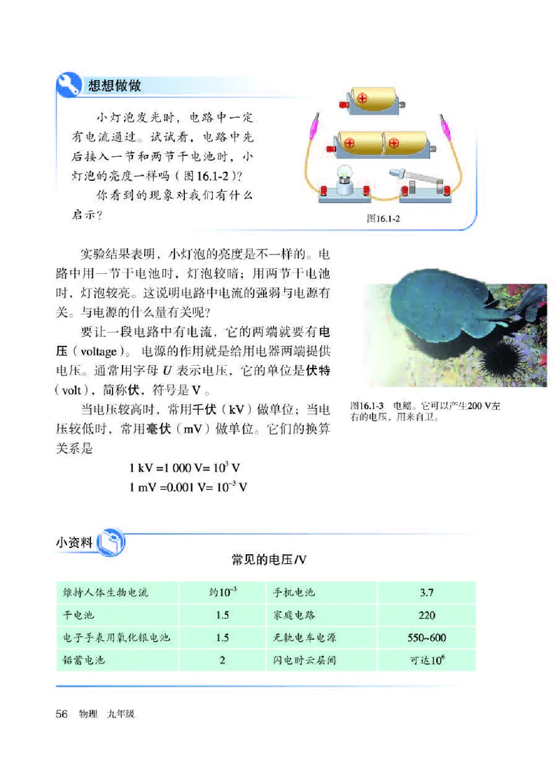 人教版9年级物理全一册高清教材_4-教培资料-26年最新资料-同步更新_初中高中教资_03科三专项（进去保存报考的学科即可）_02科三专项（笔记真题思维导图教学设计版本二）