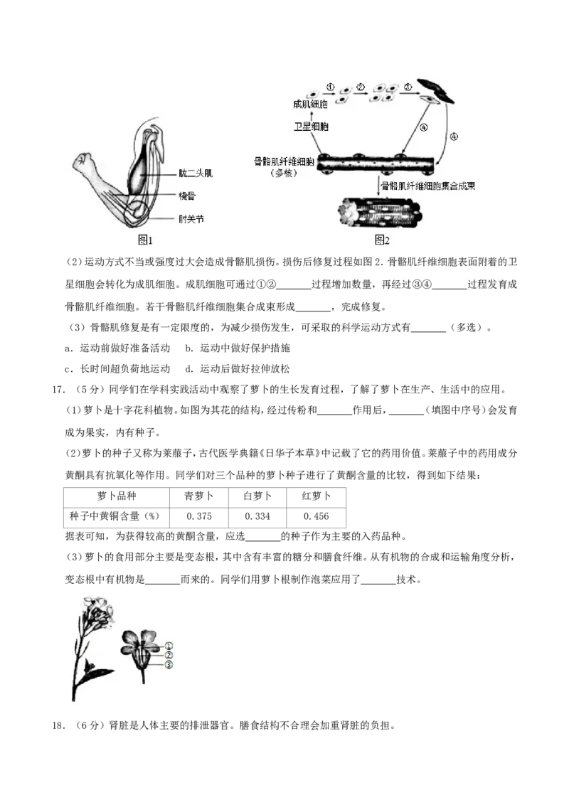 2019年北京市中考生物真题及答案_中考真题_8.生物中考真题2015-2024年_地区卷_北京生物17-22