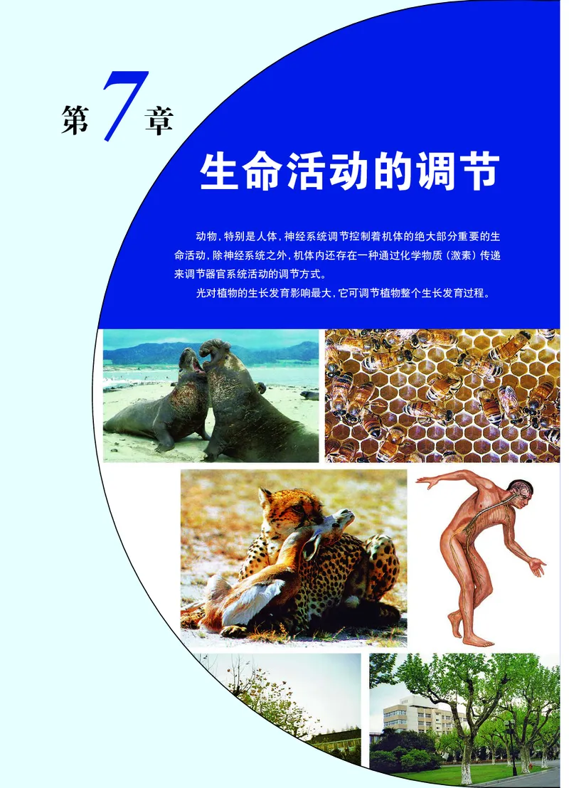 华师大8年级科学下册高清教材_4-教培资料-26年最新资料-同步更新_初中高中教资_03科三专项（进去保存报考的学科即可）_02科三专项（笔记真题思维导图教学设计版本二）