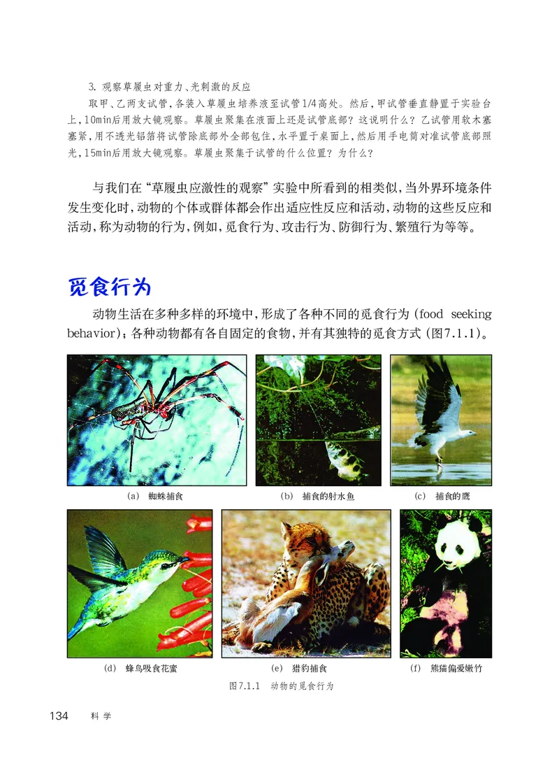 华师大8年级科学下册高清教材_4-教培资料-26年最新资料-同步更新_初中高中教资_03科三专项（进去保存报考的学科即可）_02科三专项（笔记真题思维导图教学设计版本二）
