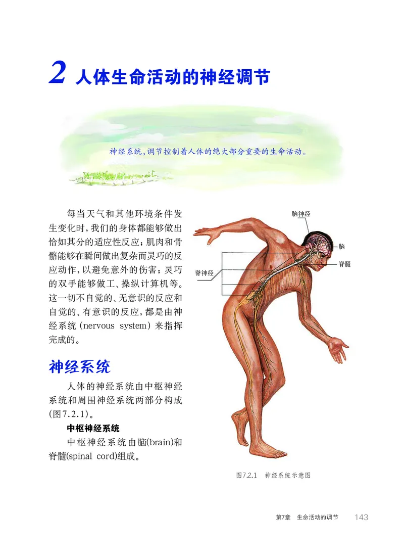 华师大8年级科学下册高清教材_4-教培资料-26年最新资料-同步更新_初中高中教资_03科三专项（进去保存报考的学科即可）_02科三专项（笔记真题思维导图教学设计版本二）