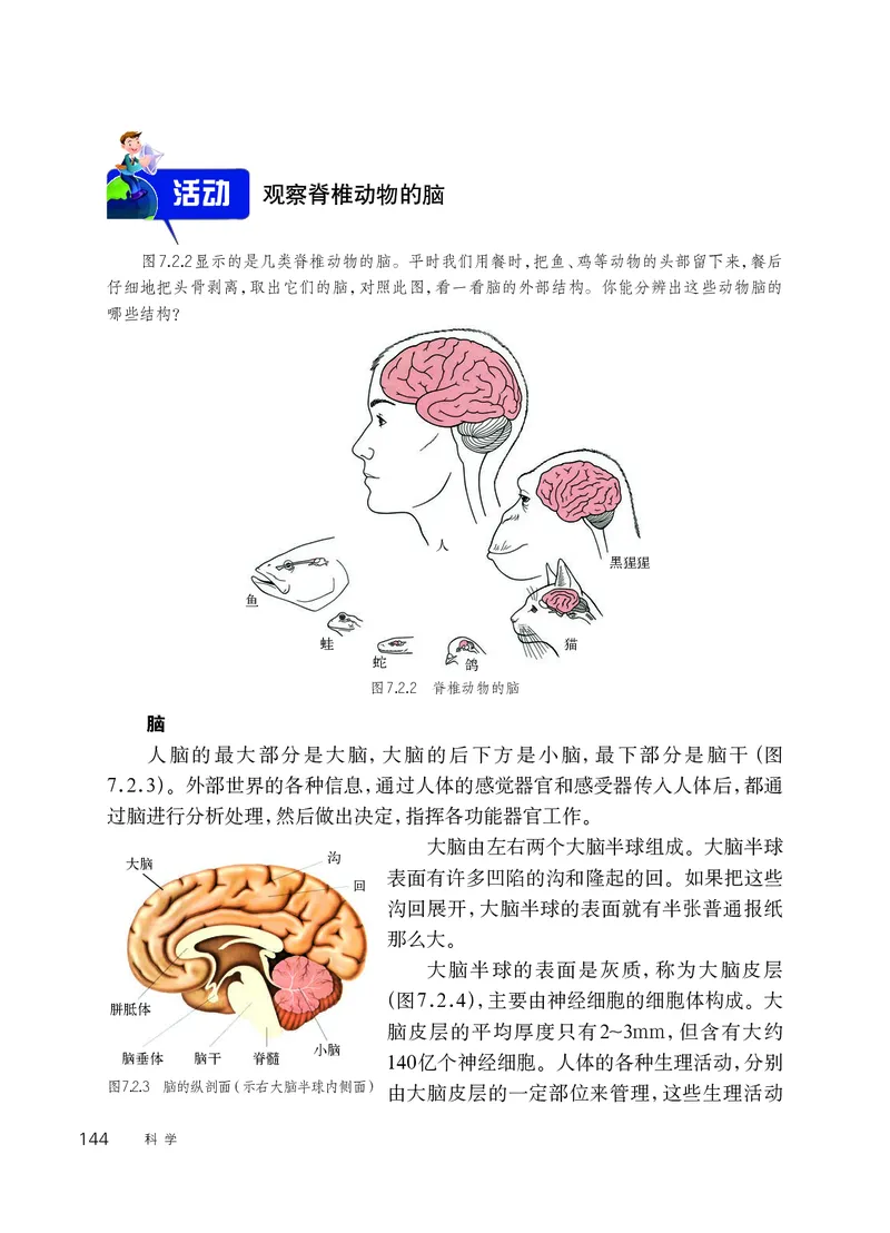 华师大8年级科学下册高清教材_4-教培资料-26年最新资料-同步更新_初中高中教资_03科三专项（进去保存报考的学科即可）_02科三专项（笔记真题思维导图教学设计版本二）