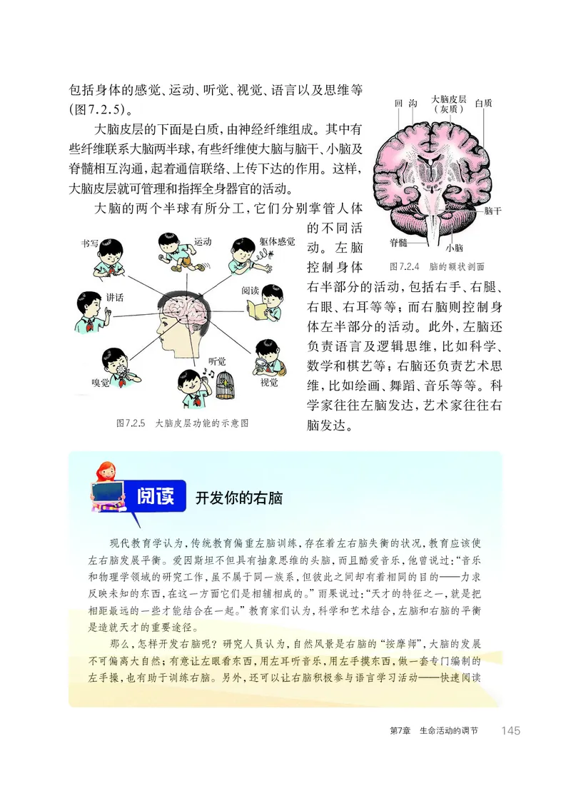 华师大8年级科学下册高清教材_4-教培资料-26年最新资料-同步更新_初中高中教资_03科三专项（进去保存报考的学科即可）_02科三专项（笔记真题思维导图教学设计版本二）