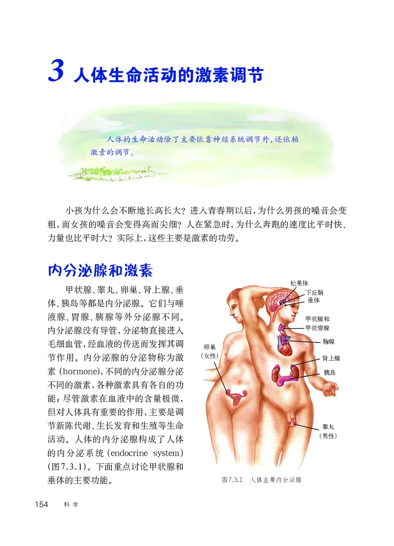 华师大8年级科学下册高清教材_4-教培资料-26年最新资料-同步更新_初中高中教资_03科三专项（进去保存报考的学科即可）_02科三专项（笔记真题思维导图教学设计版本二）