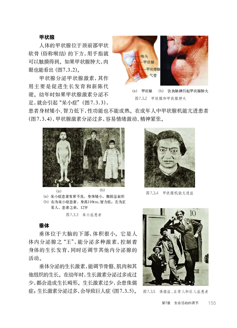 华师大8年级科学下册高清教材_4-教培资料-26年最新资料-同步更新_初中高中教资_03科三专项（进去保存报考的学科即可）_02科三专项（笔记真题思维导图教学设计版本二）