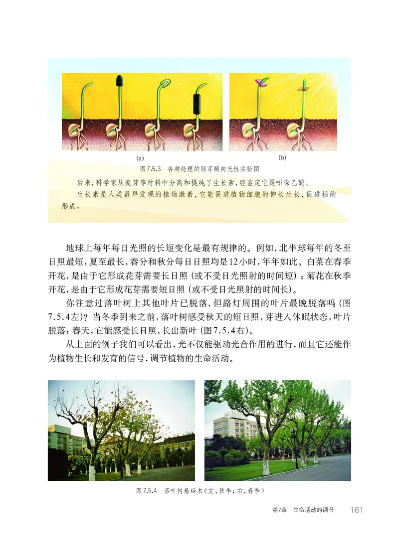 华师大8年级科学下册高清教材_4-教培资料-26年最新资料-同步更新_初中高中教资_03科三专项（进去保存报考的学科即可）_02科三专项（笔记真题思维导图教学设计版本二）