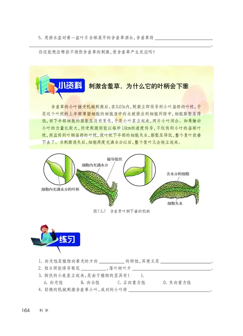 华师大8年级科学下册高清教材_4-教培资料-26年最新资料-同步更新_初中高中教资_03科三专项（进去保存报考的学科即可）_02科三专项（笔记真题思维导图教学设计版本二）