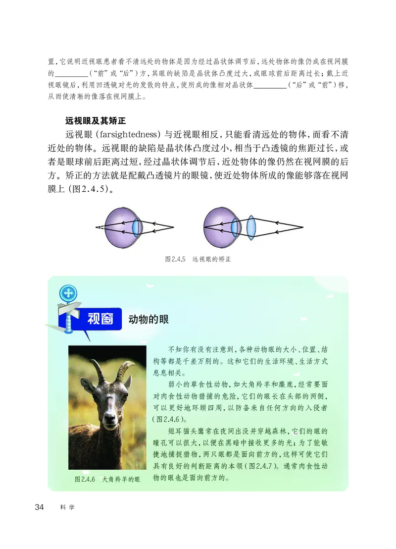 华师大8年级科学下册高清教材_4-教培资料-26年最新资料-同步更新_初中高中教资_03科三专项（进去保存报考的学科即可）_02科三专项（笔记真题思维导图教学设计版本二）