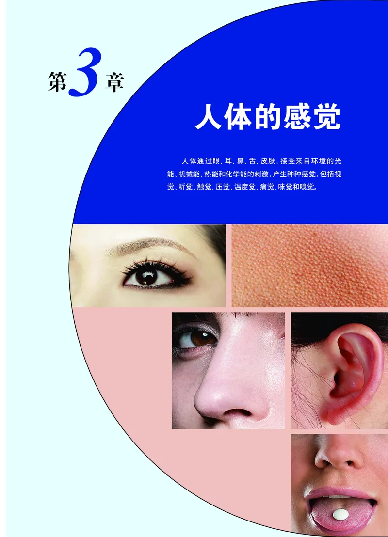 华师大8年级科学下册高清教材_4-教培资料-26年最新资料-同步更新_初中高中教资_03科三专项（进去保存报考的学科即可）_02科三专项（笔记真题思维导图教学设计版本二）