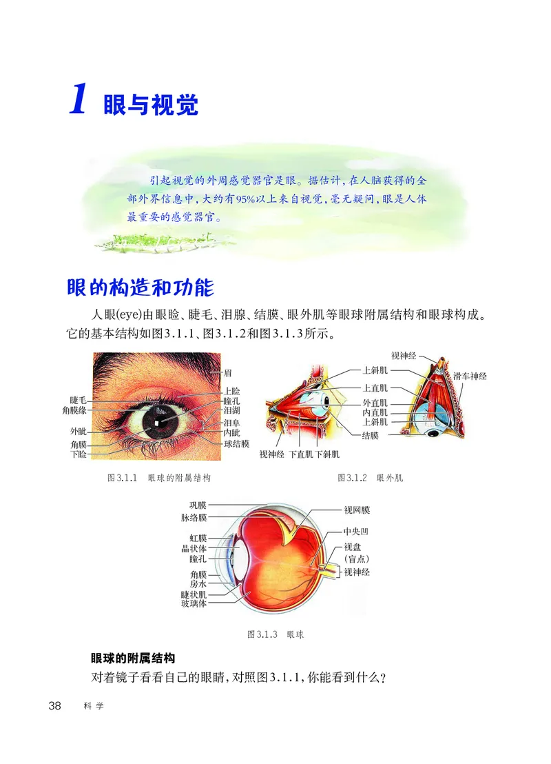 华师大8年级科学下册高清教材_4-教培资料-26年最新资料-同步更新_初中高中教资_03科三专项（进去保存报考的学科即可）_02科三专项（笔记真题思维导图教学设计版本二）