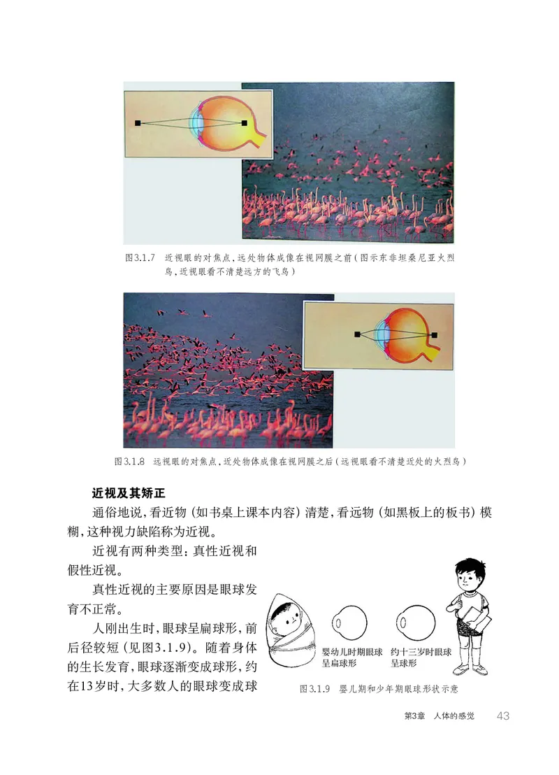 华师大8年级科学下册高清教材_4-教培资料-26年最新资料-同步更新_初中高中教资_03科三专项（进去保存报考的学科即可）_02科三专项（笔记真题思维导图教学设计版本二）