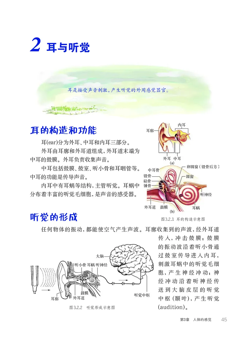 华师大8年级科学下册高清教材_4-教培资料-26年最新资料-同步更新_初中高中教资_03科三专项（进去保存报考的学科即可）_02科三专项（笔记真题思维导图教学设计版本二）