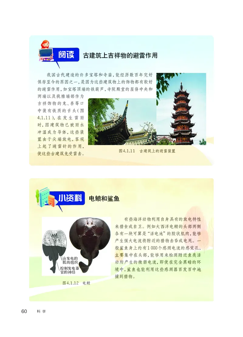 华师大8年级科学下册高清教材_4-教培资料-26年最新资料-同步更新_初中高中教资_03科三专项（进去保存报考的学科即可）_02科三专项（笔记真题思维导图教学设计版本二）