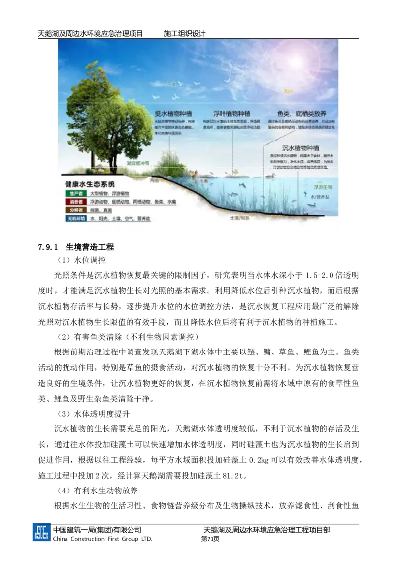 二等奖-天鹅湖及周边环境应急治理工程-施工组织设计-三公司_2021-2023年优秀施组方案_施工组织设计_天鹅湖及周边环境应急治理工程-施工组织设计