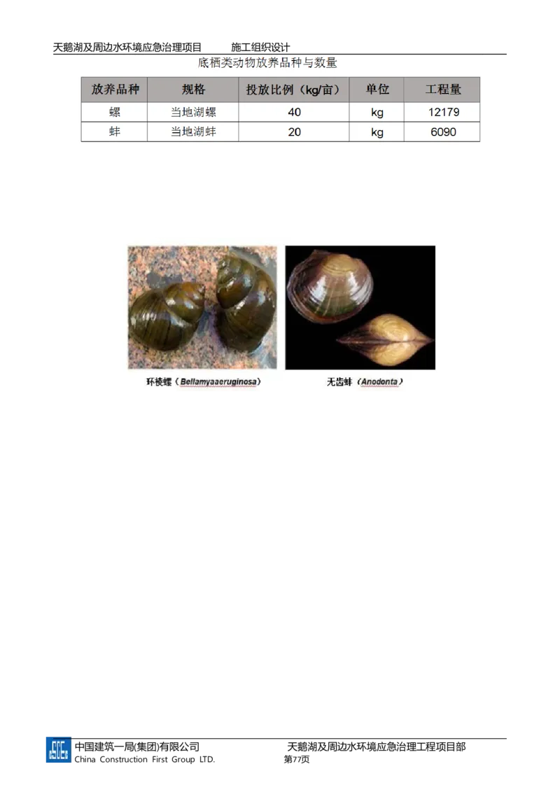 二等奖-天鹅湖及周边环境应急治理工程-施工组织设计-三公司_2021-2023年优秀施组方案_施工组织设计_天鹅湖及周边环境应急治理工程-施工组织设计