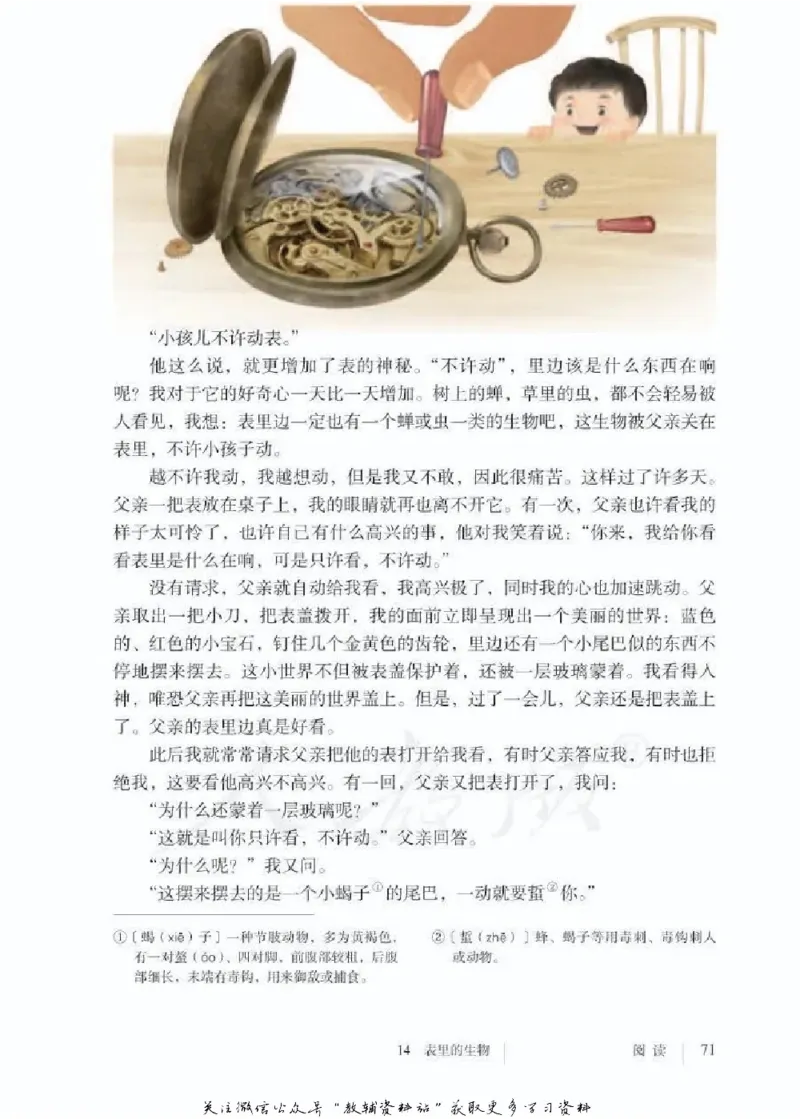 六年级下册语文五四制电子课本_4-教培资料-26年最新资料-同步更新_初中高中教资_03科三专项（进去保存报考的学科即可）_02科三专项（笔记真题思维导图教学设计版本二）