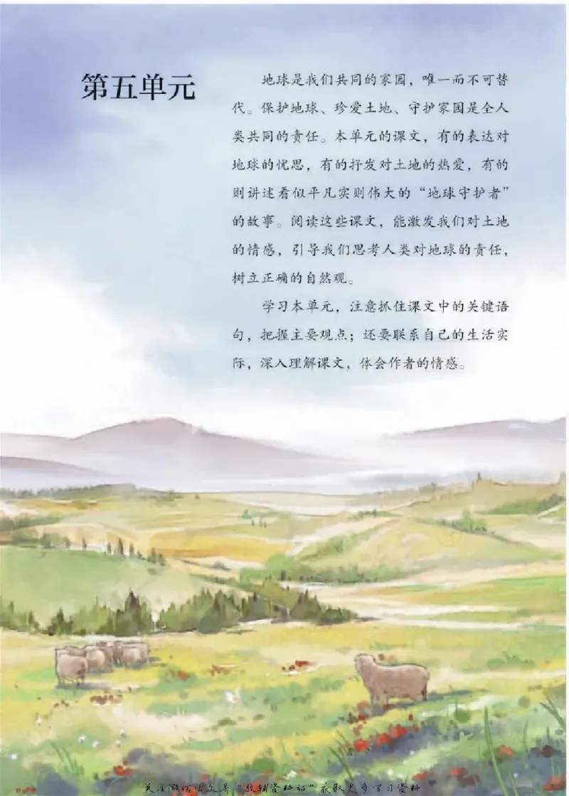 六年级下册语文五四制电子课本_4-教培资料-26年最新资料-同步更新_初中高中教资_03科三专项（进去保存报考的学科即可）_02科三专项（笔记真题思维导图教学设计版本二）