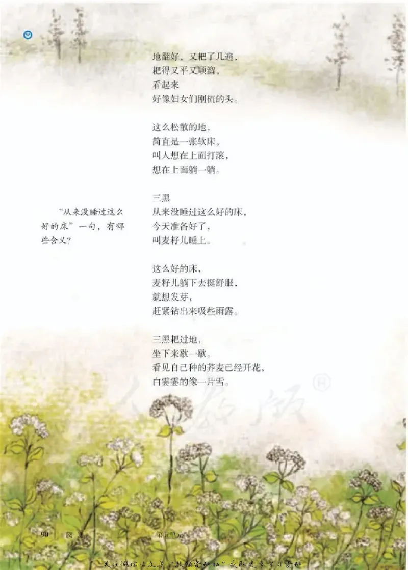 六年级下册语文五四制电子课本_4-教培资料-26年最新资料-同步更新_初中高中教资_03科三专项（进去保存报考的学科即可）_02科三专项（笔记真题思维导图教学设计版本二）