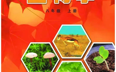 冀少版8年级生物上册高清教材_4-教培资料-26年最新资料-同步更新_初中高中教资_03科三专项（进去保存报考的学科即可）_02科三专项（笔记真题思维导图教学设计版本二）