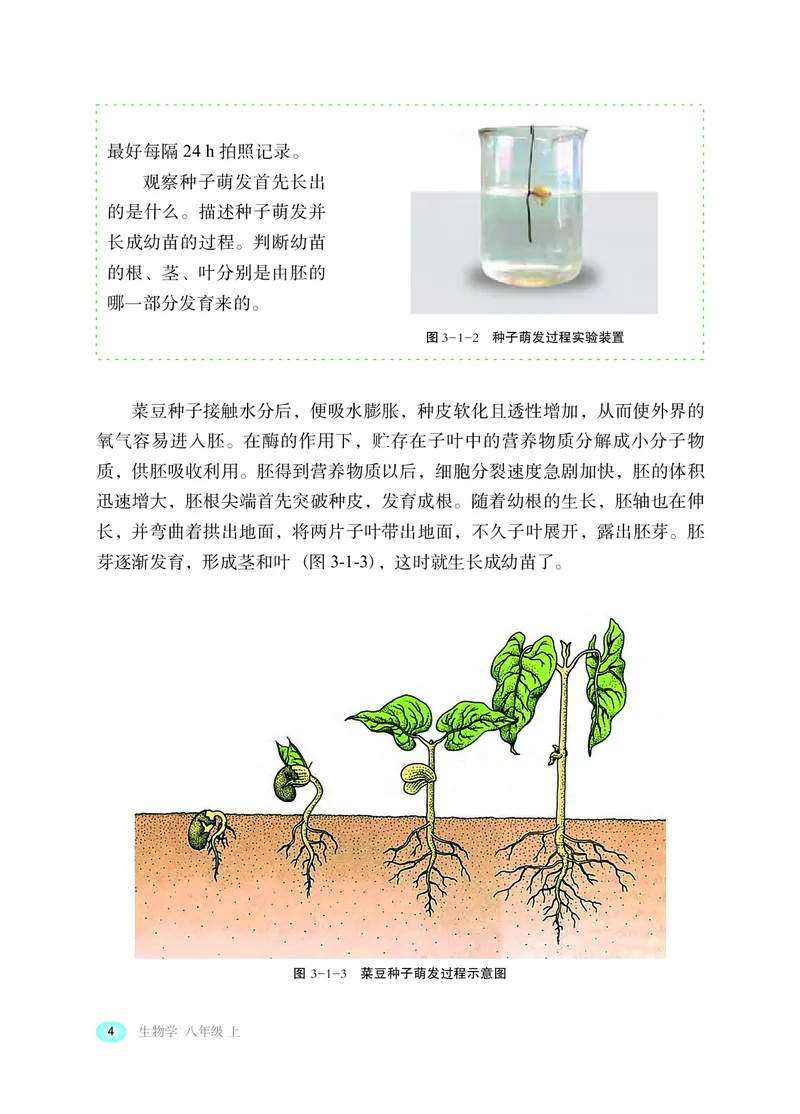冀少版8年级生物上册高清教材_4-教培资料-26年最新资料-同步更新_初中高中教资_03科三专项（进去保存报考的学科即可）_02科三专项（笔记真题思维导图教学设计版本二）