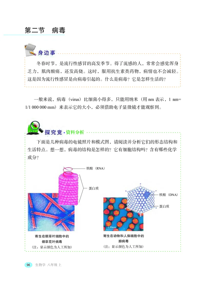 冀少版8年级生物上册高清教材_4-教培资料-26年最新资料-同步更新_初中高中教资_03科三专项（进去保存报考的学科即可）_02科三专项（笔记真题思维导图教学设计版本二）