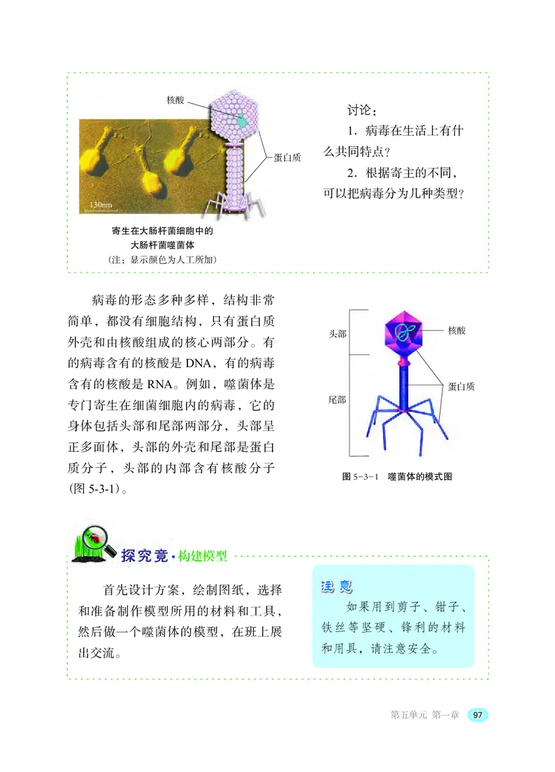 冀少版8年级生物上册高清教材_4-教培资料-26年最新资料-同步更新_初中高中教资_03科三专项（进去保存报考的学科即可）_02科三专项（笔记真题思维导图教学设计版本二）