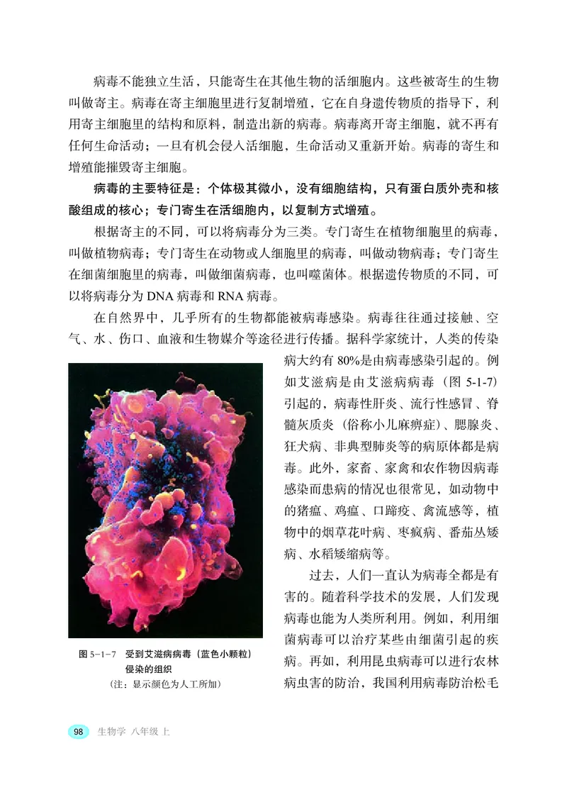 冀少版8年级生物上册高清教材_4-教培资料-26年最新资料-同步更新_初中高中教资_03科三专项（进去保存报考的学科即可）_02科三专项（笔记真题思维导图教学设计版本二）