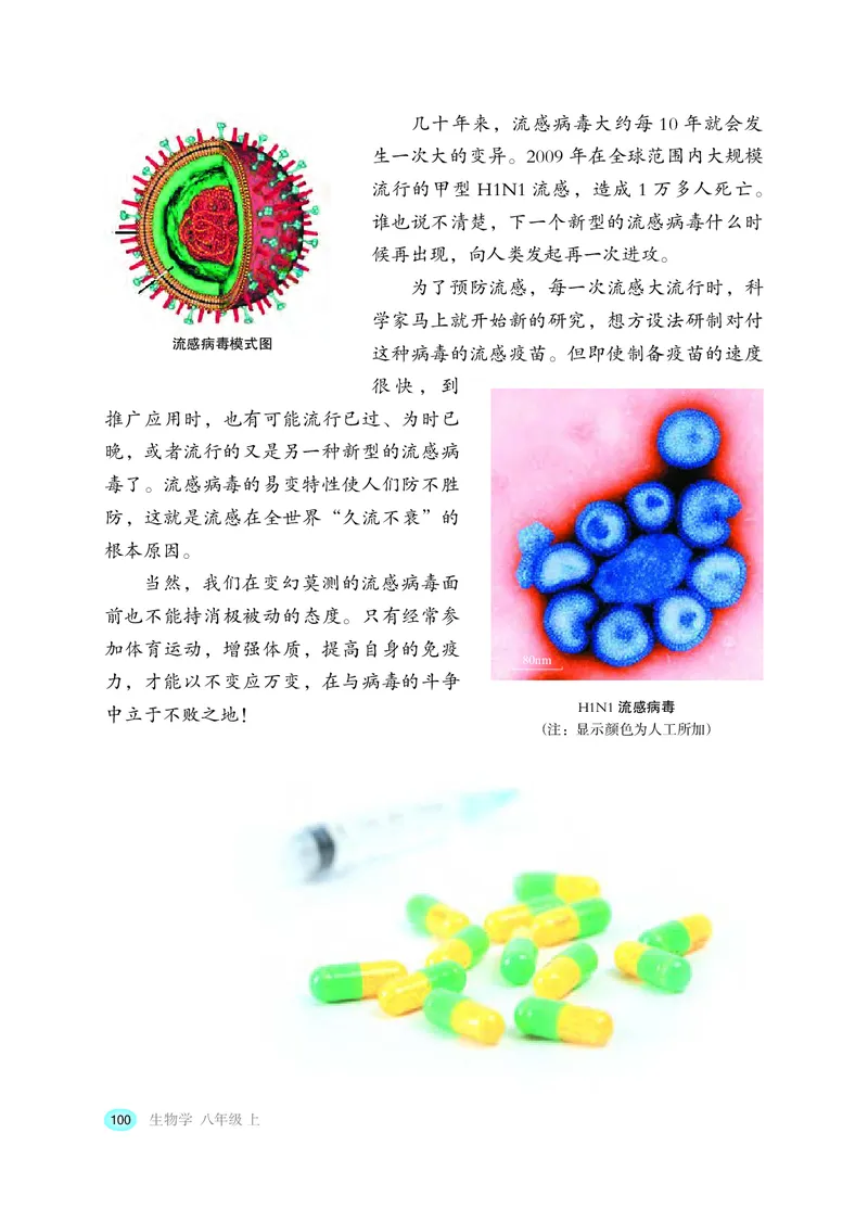 冀少版8年级生物上册高清教材_4-教培资料-26年最新资料-同步更新_初中高中教资_03科三专项（进去保存报考的学科即可）_02科三专项（笔记真题思维导图教学设计版本二）