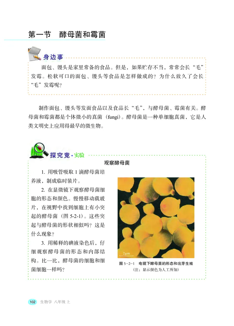 冀少版8年级生物上册高清教材_4-教培资料-26年最新资料-同步更新_初中高中教资_03科三专项（进去保存报考的学科即可）_02科三专项（笔记真题思维导图教学设计版本二）