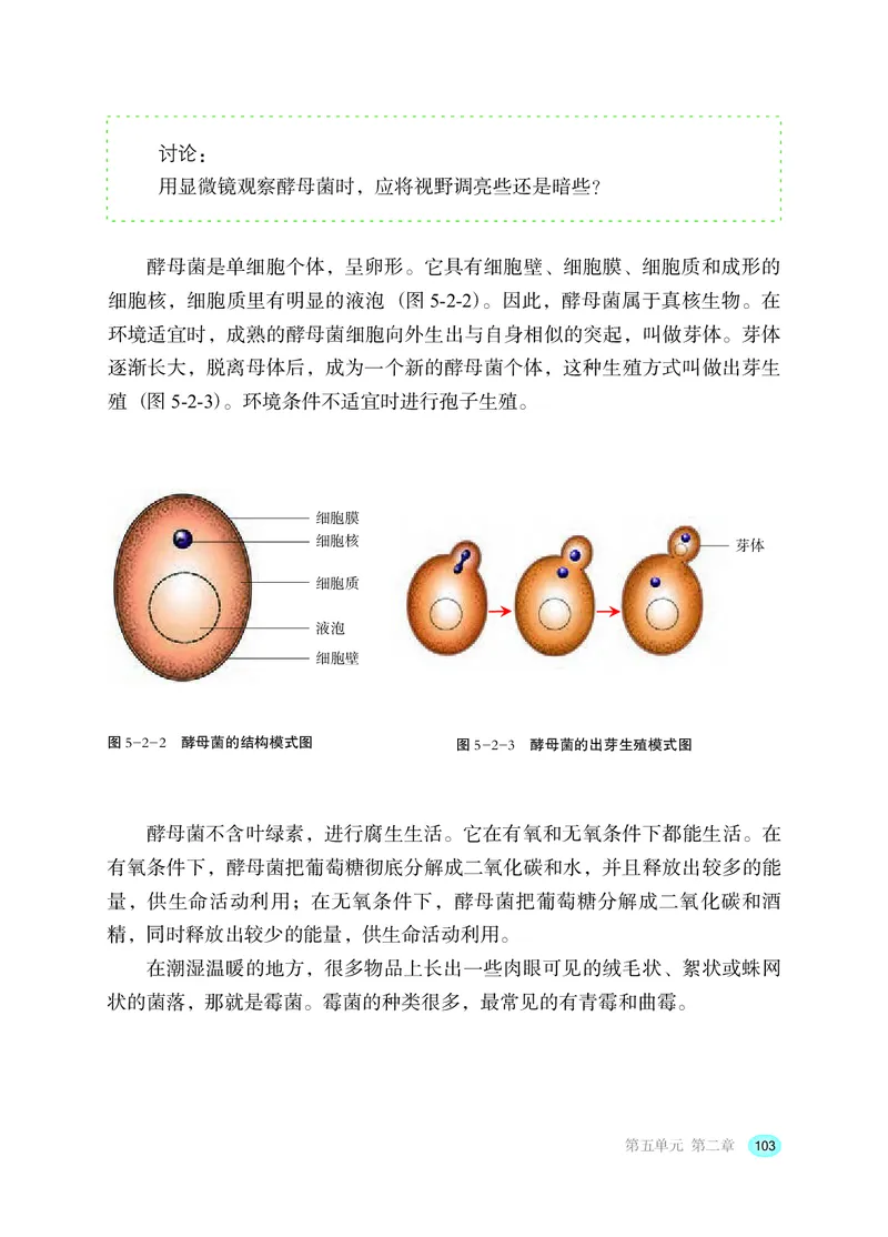 冀少版8年级生物上册高清教材_4-教培资料-26年最新资料-同步更新_初中高中教资_03科三专项（进去保存报考的学科即可）_02科三专项（笔记真题思维导图教学设计版本二）