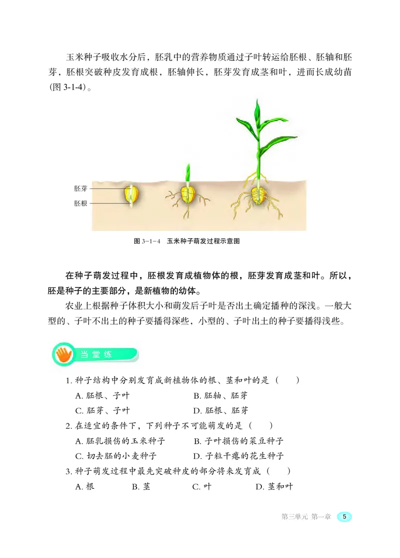 冀少版8年级生物上册高清教材_4-教培资料-26年最新资料-同步更新_初中高中教资_03科三专项（进去保存报考的学科即可）_02科三专项（笔记真题思维导图教学设计版本二）