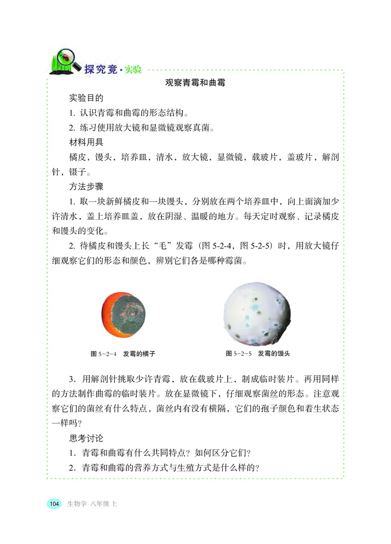 冀少版8年级生物上册高清教材_4-教培资料-26年最新资料-同步更新_初中高中教资_03科三专项（进去保存报考的学科即可）_02科三专项（笔记真题思维导图教学设计版本二）