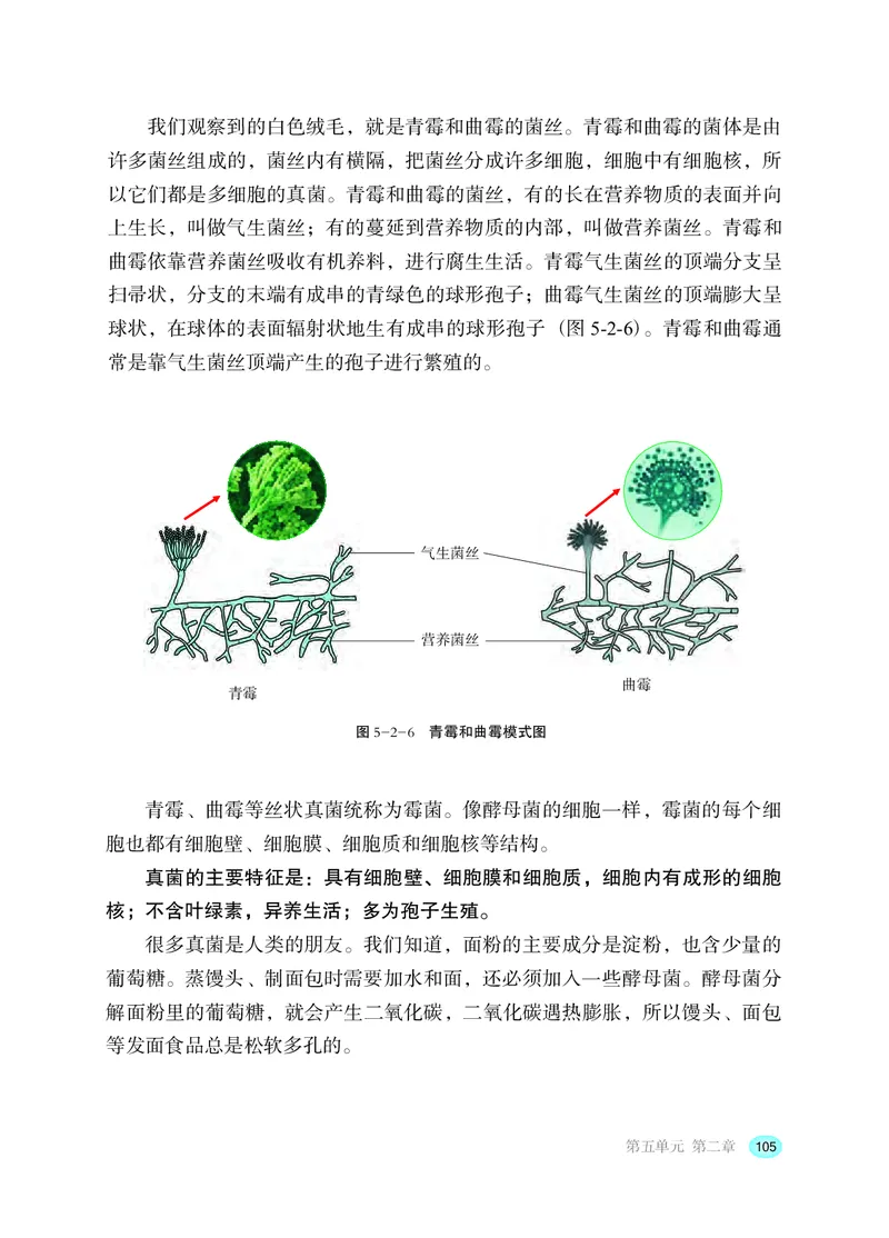 冀少版8年级生物上册高清教材_4-教培资料-26年最新资料-同步更新_初中高中教资_03科三专项（进去保存报考的学科即可）_02科三专项（笔记真题思维导图教学设计版本二）