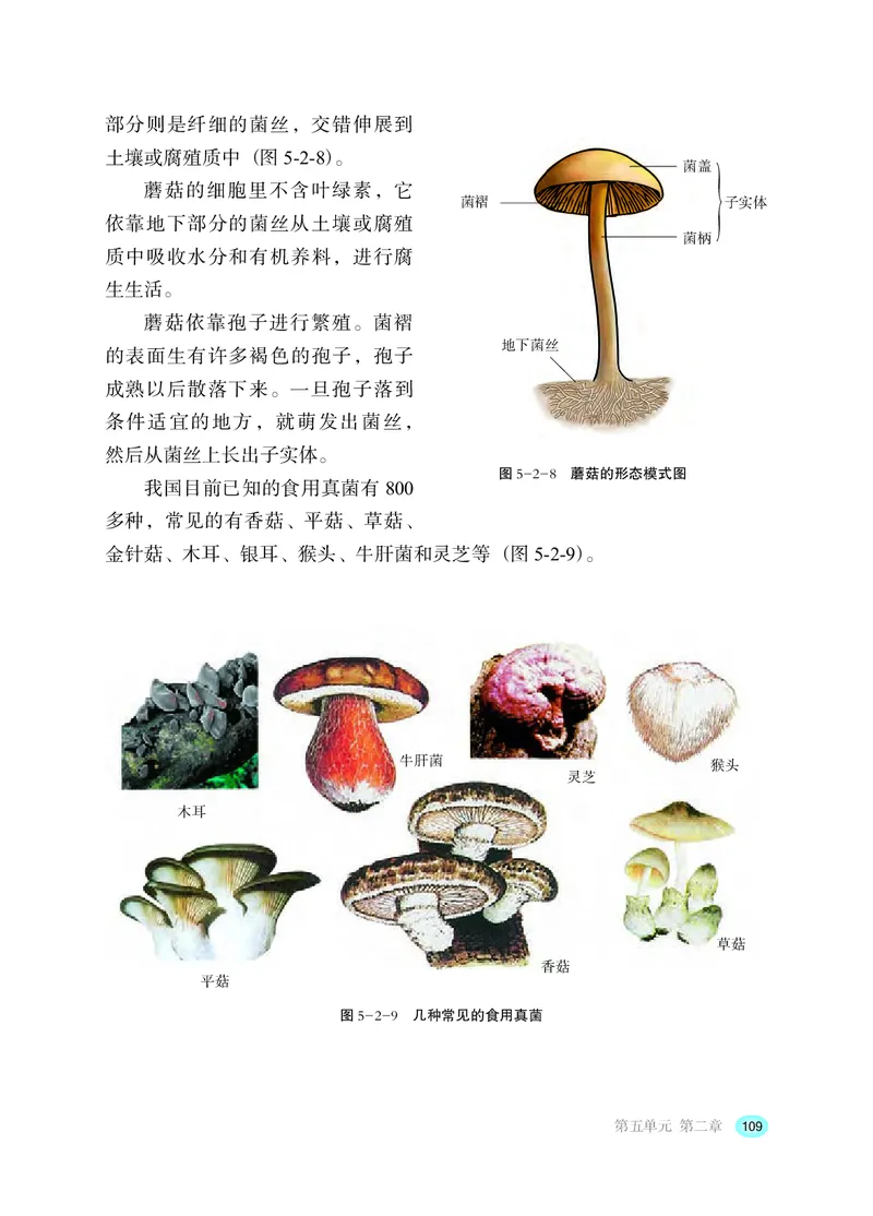 冀少版8年级生物上册高清教材_4-教培资料-26年最新资料-同步更新_初中高中教资_03科三专项（进去保存报考的学科即可）_02科三专项（笔记真题思维导图教学设计版本二）